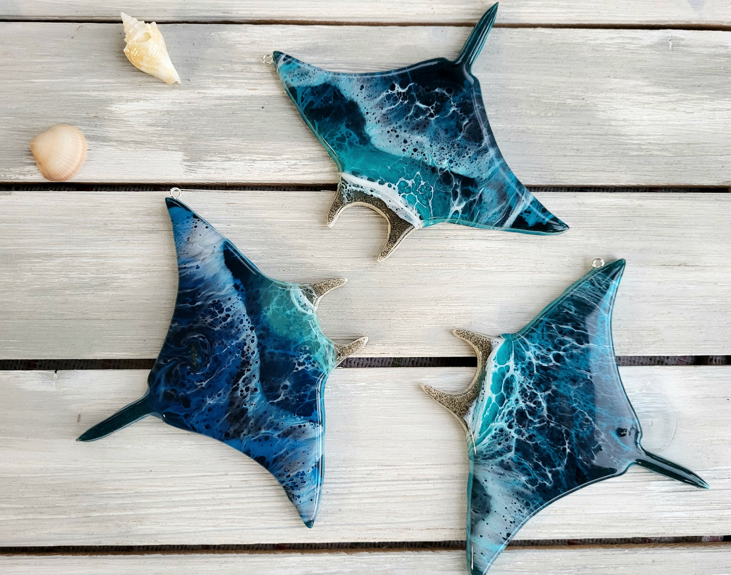 Manta Ray