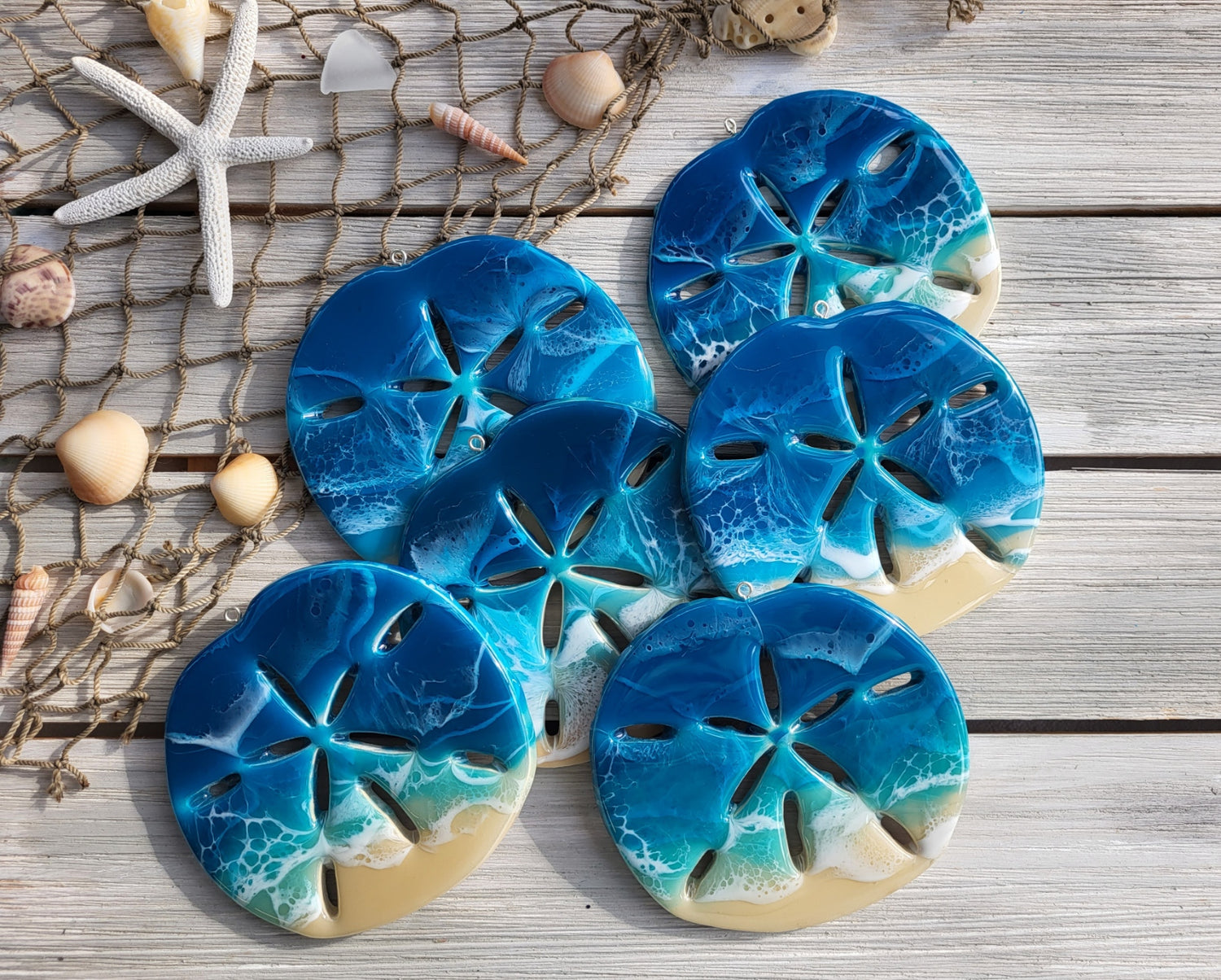 Sand Dollars